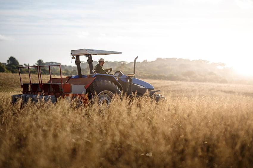 Tractor y conductor en campo de trigo